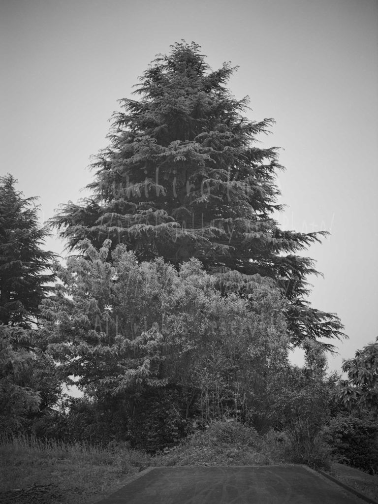 2016102
