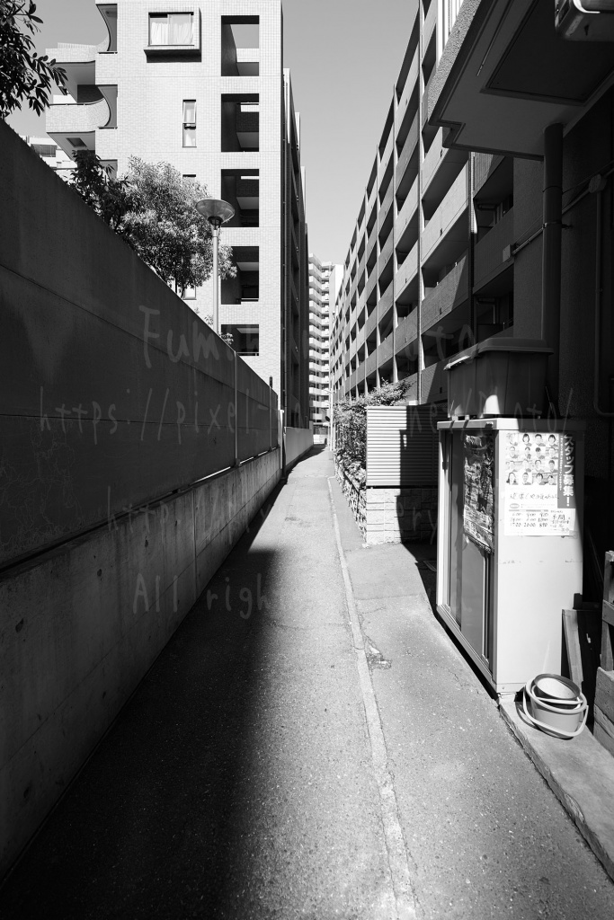 2016_21232